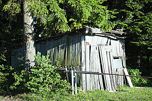 荒废,木质,小屋