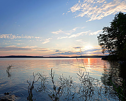沿岸,早晨,风景,湖,芬兰