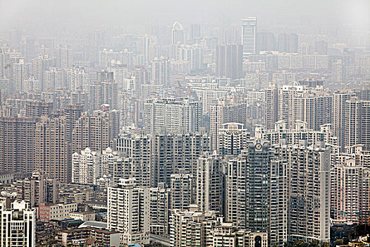上海,天际线,世界金融中心,中国