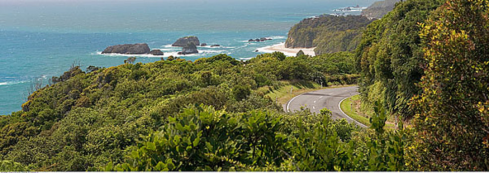 公路,南岛,新西兰