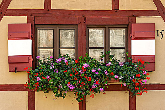 窗户,天竺葵,半木结构房屋,建筑,城堡,院子,纽伦堡,中间,弗兰克尼亚,巴伐利亚,德国,欧洲