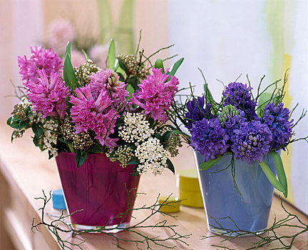 风信子,粉色,蓝色,荚莲属植物