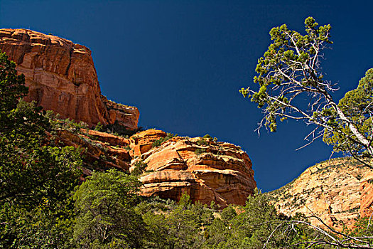 峡谷,红岩,国家森林,塞多纳,亚利桑那,美国