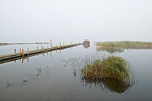 湖,雾,黎明,瑞典