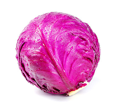 ϰͼƬ_ϰͼƬȫ_ϰͼƬ