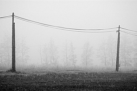 两个,电线杆,线,冬天,雾