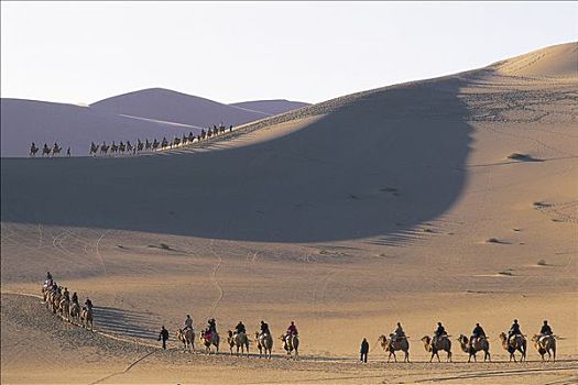 甘肃,敦煌,游客,骑,骆驼