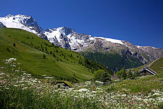 法国,上阿尔卑斯省,山丘,山,木制屋舍,花草