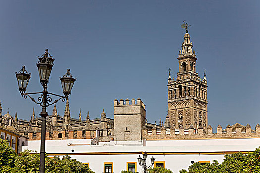 吉拉达,钟楼,大教堂,塞维利亚,安达卢西亚,西班牙,欧洲