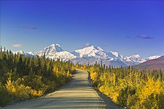 德纳里峰,公路,阿拉斯加山脉,背景,阿拉斯加,秋天