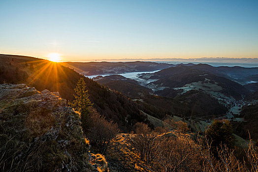 风景,山谷,清晨,雾,黑森林,巴登符腾堡,德国,欧洲
