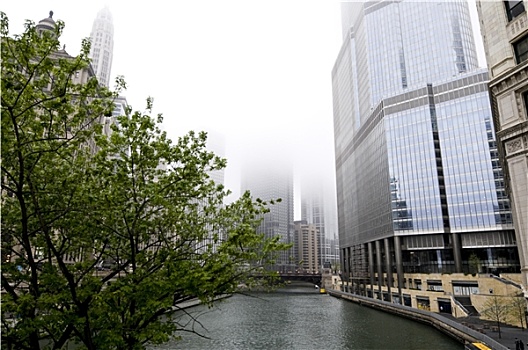 芝加哥,雾状,早晨