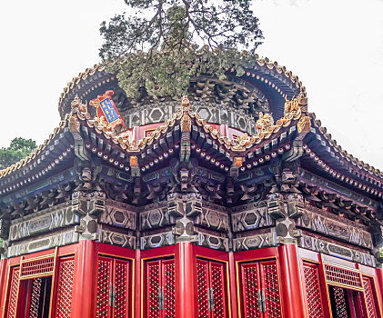 北京故宫,故宫博物院,紫禁城