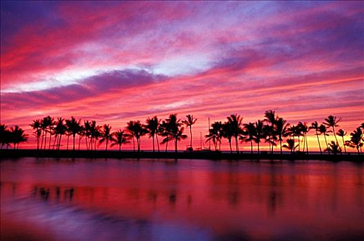 夏威夷,日落,棕榈树