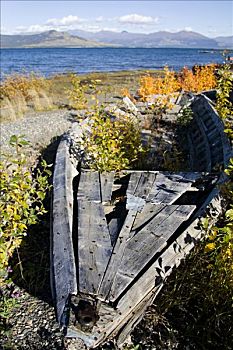 老,木船,克卢恩湖,克卢恩国家公园,育空地区,加拿大