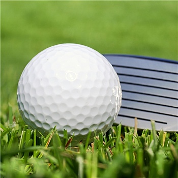 高尔夫球,高尔夫球棒,草丛
