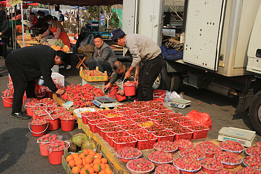 农民大集上草莓新鲜上市,市民纷纷选购尝鲜