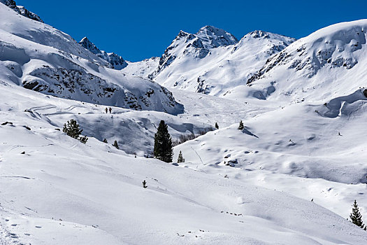 奥地利,提洛尔,阿尔卑斯山,滑雪,旅游,途中,积雪,小屋