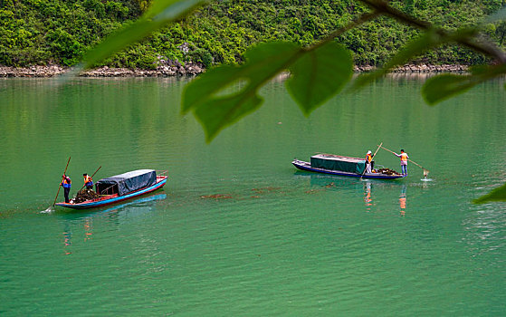 重庆酉阳,河道清漂,呵护一江碧水