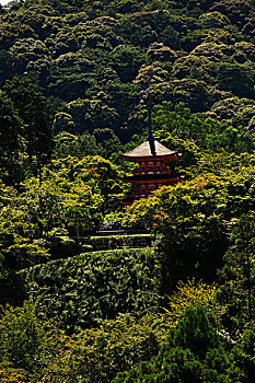 日本,京都,塔