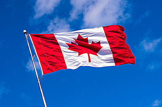 加拿大国旗,摆动,天空,哈利法克斯,新斯科舍省,加拿大