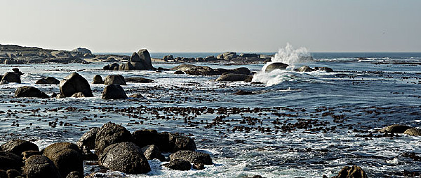 海岸,海洋,南非