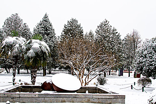 雪景