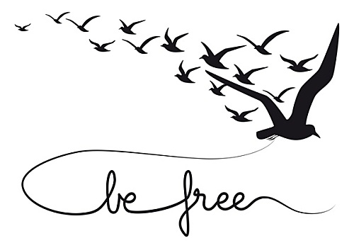 自由,文字,飞,鸟