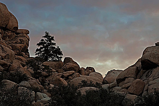 岩石构造,荒芜,约书亚树国家公园,加利福尼亚,美国