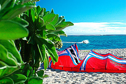 毛里求斯,海滩,风筝冲浪,航行