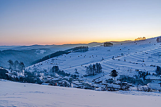 雪地,树林,村庄,雪村