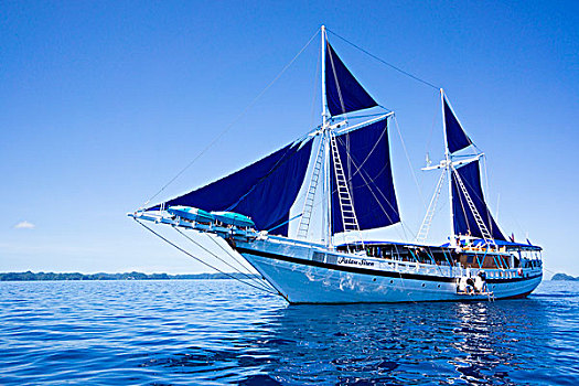 帆船,帕劳,警笛,密克罗尼西亚,大洋洲