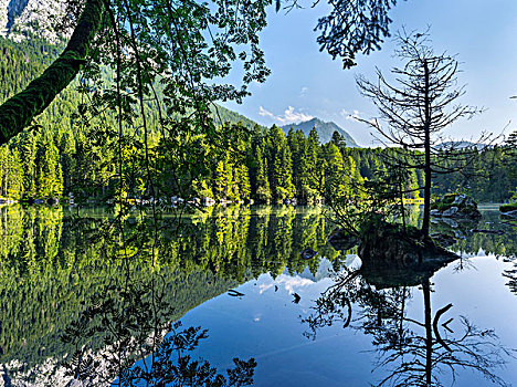 浪漫,湖,国家公园,巴伐利亚,德国,大幅,尺寸