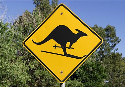袋鼠,滑雪,交通标志,路标,维多利亚,澳大利亚