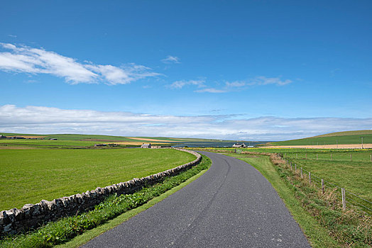 一个,道路,草场,奥克尼群岛,苏格兰,英国,欧洲