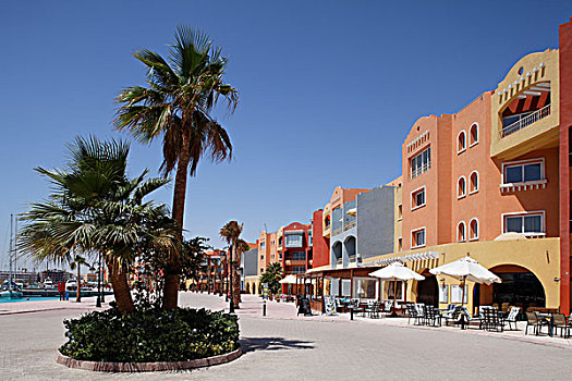 餐馆,棕榈树,码头,埃及,红海,非洲