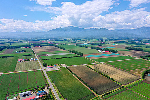 航拍,北海道,日本