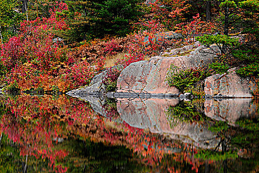 秋天,反射,河,萨德伯里,安大略省,加拿大
