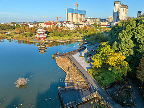 江西金溪,芳香文旅助力高质量发展