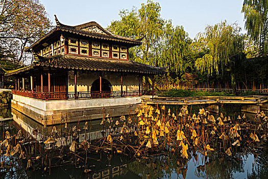 中国四大名园----拙政园