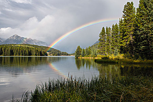 彩虹,加拿大,班夫国家公园,班芙国家公园,落矶山,艾伯塔省,省,北美