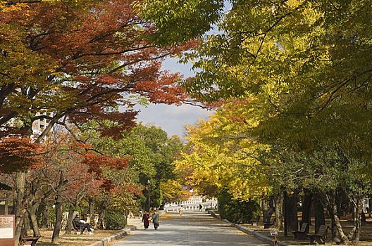 广岛和平纪念馆,公园,广岛,日本