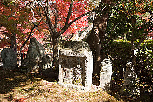 石头,佛,水塘,庙宇,京都,日本