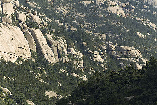 山东青岛风光