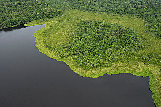 湖,国家公园,亚马逊雨林,厄瓜多尔,南美