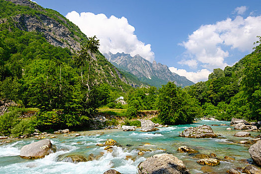 河,山谷,国家公园,阿尔巴尼亚,阿尔卑斯山,欧洲