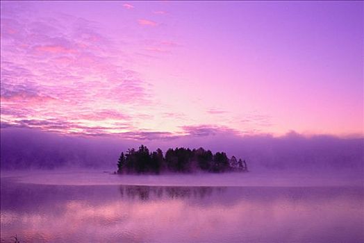岛屿,湖,阿尔冈金省立公园,安大略省,加拿大