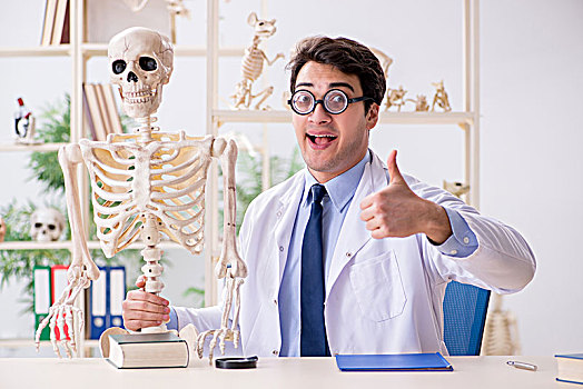 疯狂,教授,学习,人体骨骼