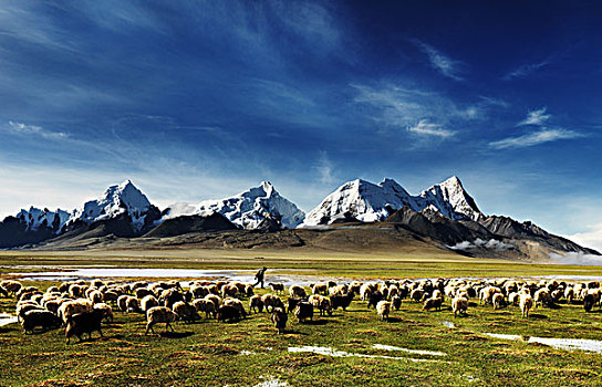 喜马拉雅山风光