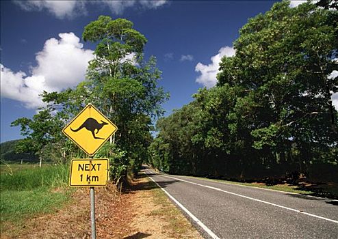 特色,澳大利亚,公路,警告标识,昆士兰